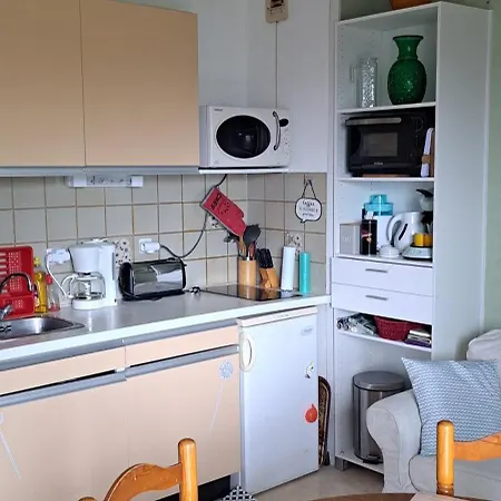 Appartement Studio Phannie Libre 28 Aout Au 5 Septembre Et Apres 24 Octobre Base Ideale Cure A 50M Parking Wi-Fi Amélie-les-Bains-Palalda