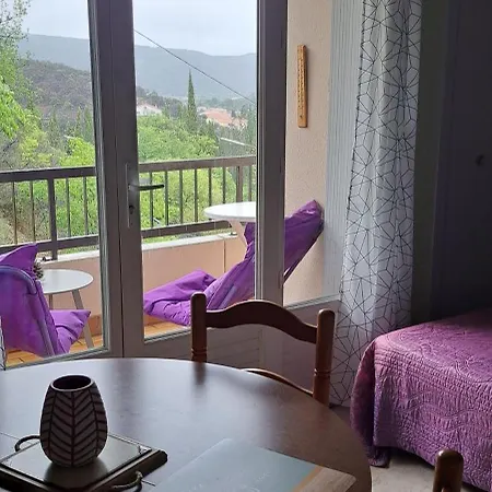 Apartment Phannie Renove Gd Balcon A 50m Des Thermes Amelie-les-Bains-Palalda