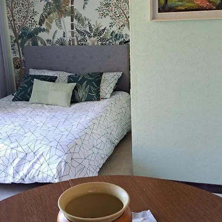 公寓 Frais Et Bien Oriente Confortable Joli Phannie Proche Cure 艾美丽·莱斯·班恩斯·帕尔
