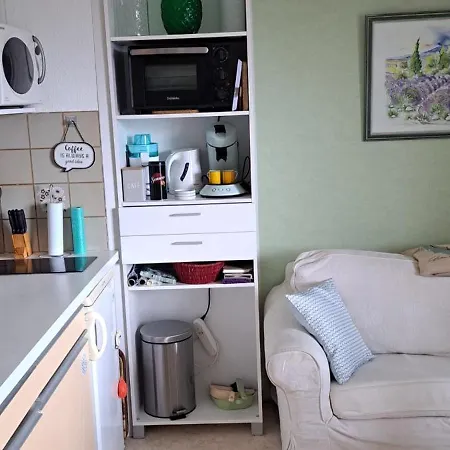 Appartement Studio Phannie Libre 28 Aout Au 5 Septembre Et Apres 24 Octobre Base Ideale Cure A 50M Parking Wi-Fi Amélie-les-Bains-Palalda