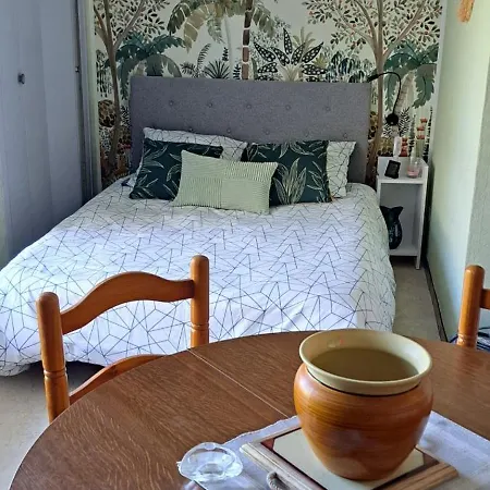 Apartment Phannie Renove Gd Balcon A 50m Des Thermes Amelie-les-Bains-Palalda