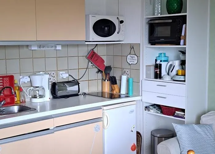 Apartment Dernieres Disponibilites Phannie Libre Apres 24 Octobre Jusque Fin Des Cures Base Ideale Confort Jolie Vue Cures 50m Parking Amelie-les-Bains-Palalda