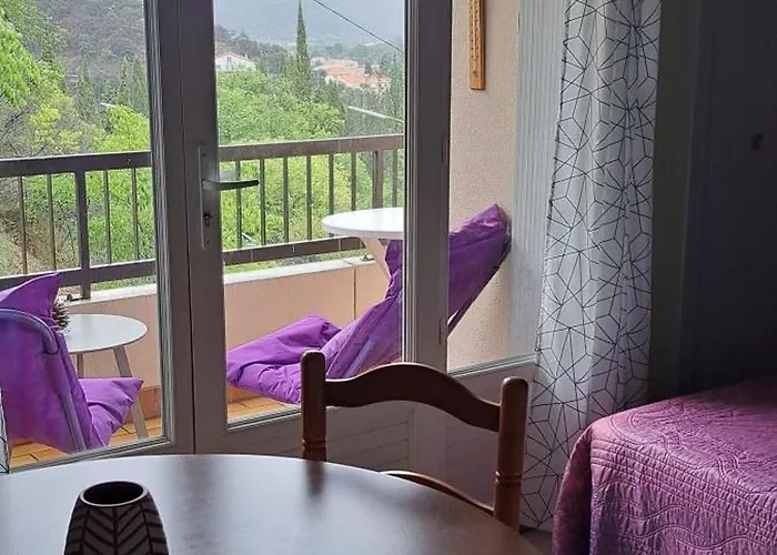 Apartment Dernieres Disponibilites Phannie Libre Apres 24 Octobre Jusque Fin Des Cures Base Ideale Confort Jolie Vue Cures 50m Parking Amélie-les-Bains-Palalda