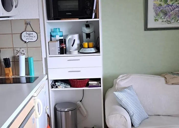 Apartment Dernieres Disponibilites Phannie Libre Apres 24 Octobre Jusque Fin Des Cures Base Ideale Confort Jolie Vue Cures 50m Parking