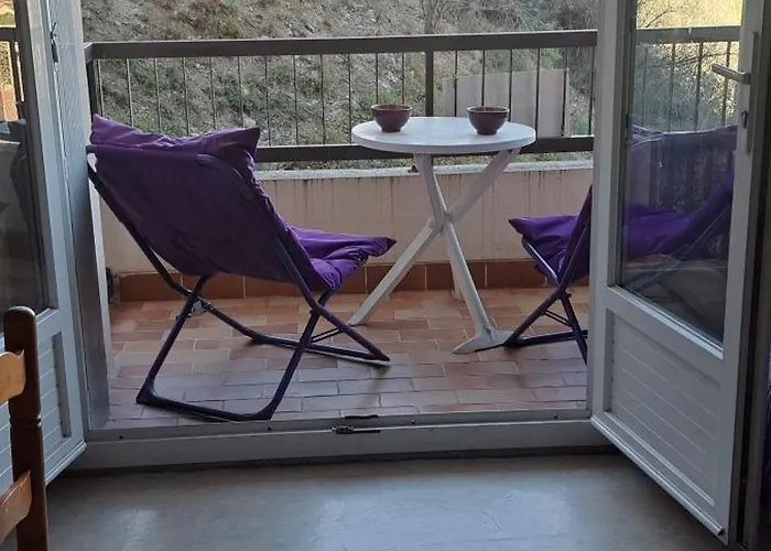 Dernieres Disponibilites Phannie Libre Apres 24 Octobre Jusque Fin Des Cures Base Ideale Confort Jolie Vue Cures 50m Parking Apartment Amelie-les-Bains-Palalda