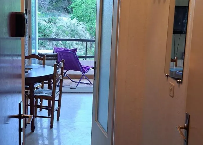 Dernieres Disponibilites Phannie Libre Apres 24 Octobre Jusque Fin Des Cures Base Ideale Confort Jolie Vue Cures 50m Parking Apartment Amelie-les-Bains-Palalda