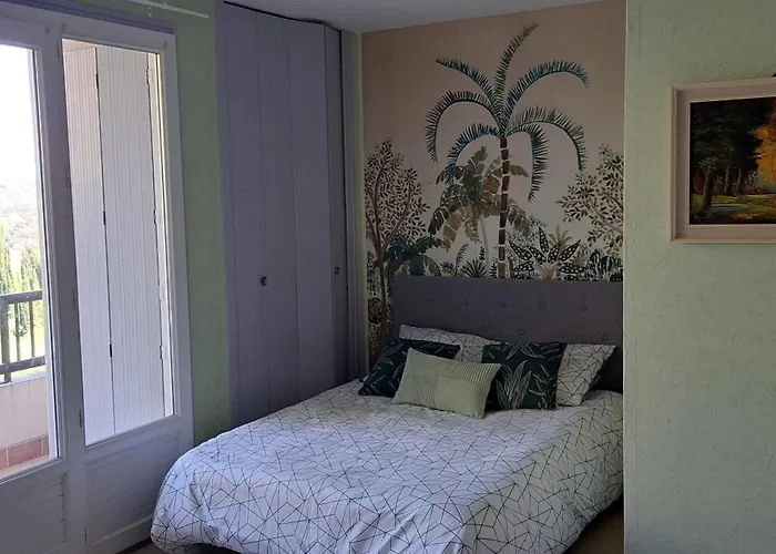 Apartment Dernieres Disponibilites Phannie Libre Apres 24 Octobre Jusque Fin Des Cures Base Ideale Confort Jolie Vue Cures 50m Parking Amelie-les-Bains-Palalda
