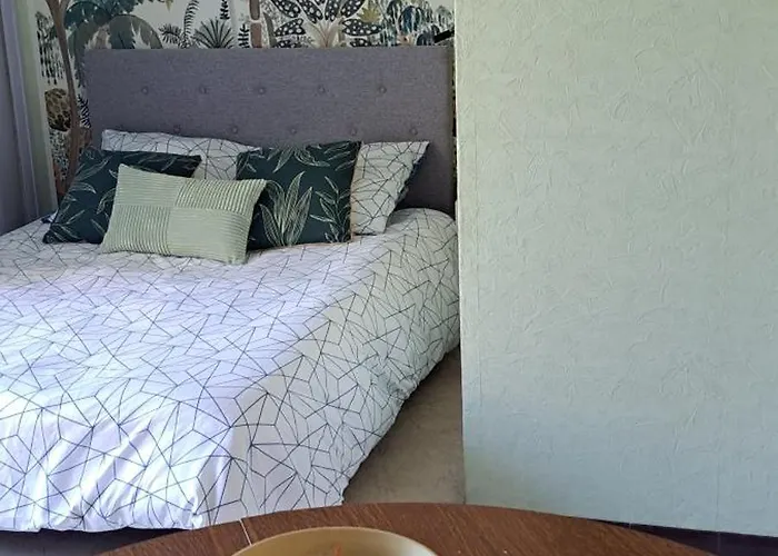 Apartment Dernieres Disponibilites Phannie Libre Apres 24 Octobre Jusque Fin Des Cures Base Ideale Confort Jolie Vue Cures 50m Parking Amelie-les-Bains-Palalda