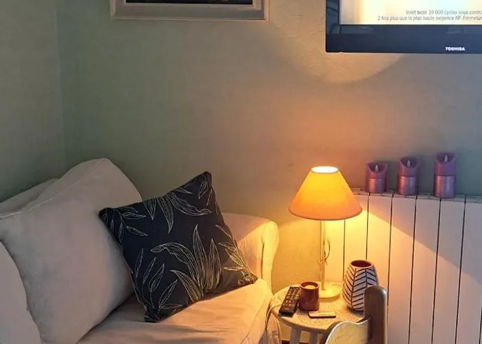 Apartment Dernieres Disponibilites Phannie Libre Apres 24 Octobre Jusque Fin Des Cures Base Ideale Confort Jolie Vue Cures 50m Parking Amelie-les-Bains-Palalda