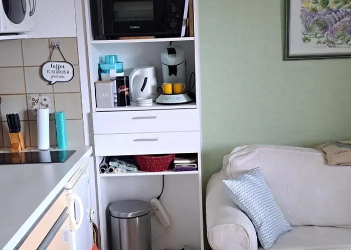 Apartment Dernieres Disponibilites Phannie Libre Apres 24 Octobre Jusque Fin Des Cures Base Ideale Confort Jolie Vue Cures 50m Parking Amelie-les-Bains-Palalda