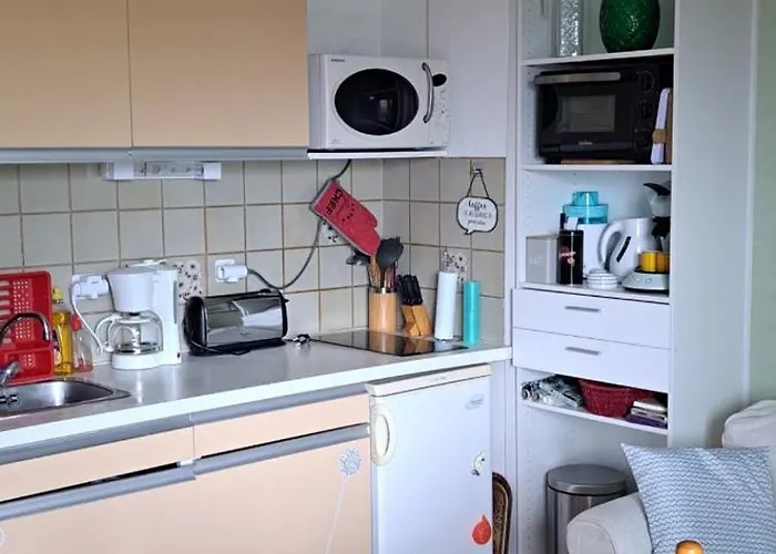Dernieres Disponibilites Phannie Libre Apres 24 Octobre Jusque Fin Des Cures Base Ideale Confort Jolie Vue Cures 50m Parking Amélie-les-Bains-Palalda