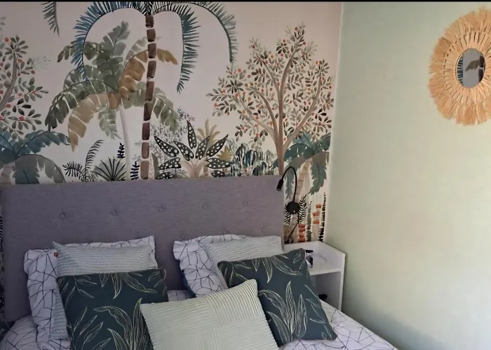 Dernieres Disponibilites Phannie Libre Apres 24 Octobre Jusque Fin Des Cures Base Ideale Confort Jolie Vue Cures 50m Parking Apartment Amelie-les-Bains-Palalda
